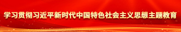 chaobibiwang学习贯彻习近平新时代中国特色社会主义思想主题教育